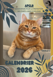 Calendrier APCLO 2026