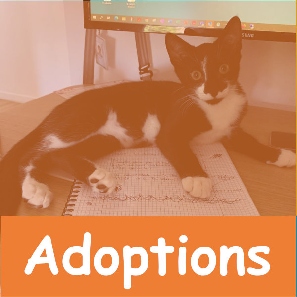 APCLOTop AModules Adoptions Image